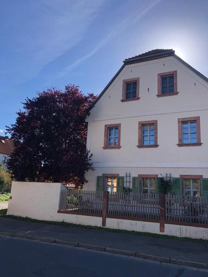 Butterfly Appartement Grimma Buitenkant foto